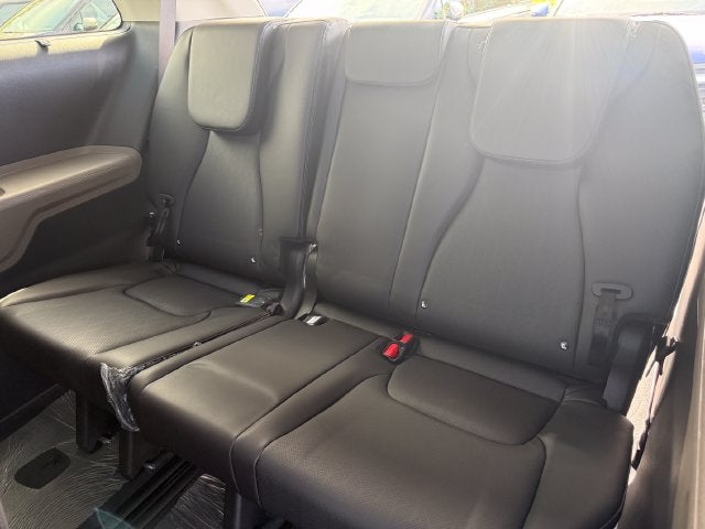 2027 Kia Carnival Hybrid SX